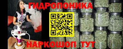прущие грибы Канаш