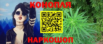 прущие грибы Канаш