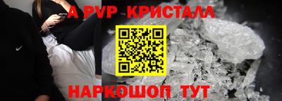 прущие грибы Канаш