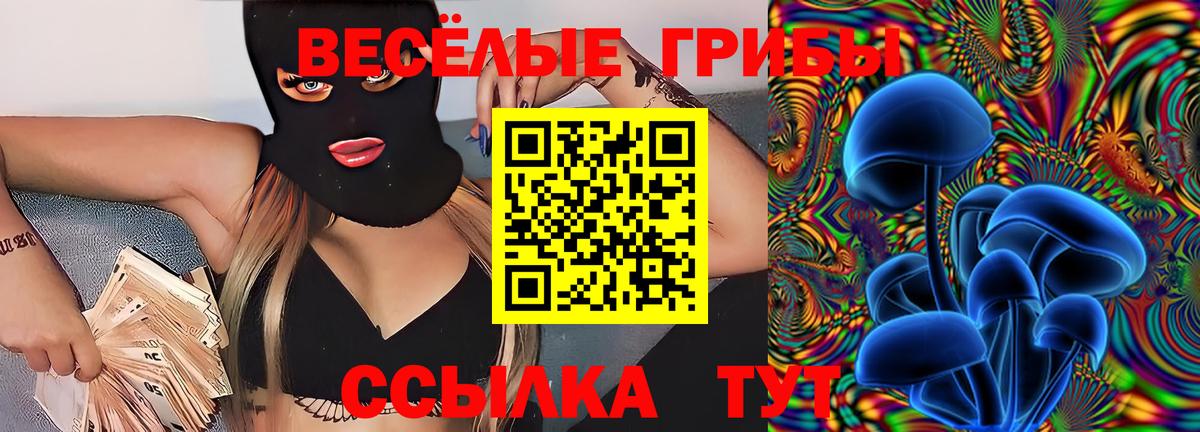 даркнет сайт  Вход с VPN  Галлюциногенные грибы мицелий  Павлово  Псилоцибиновые грибы ЛСД 